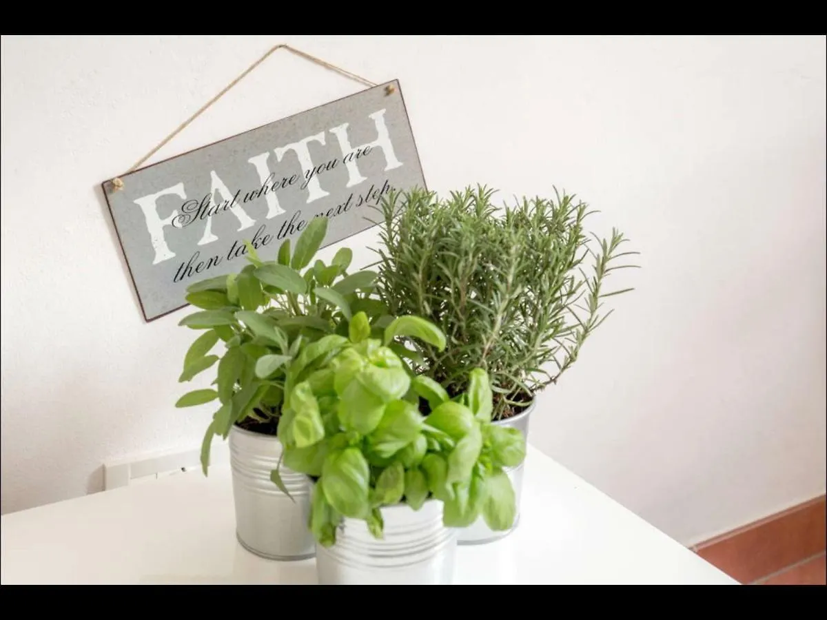 Susy Apartment, Lightly And Quiet With Gardnview 佛罗伦萨 0*,
